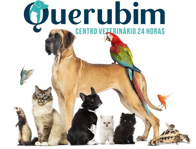 QuerubimVet