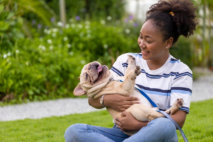 Raças de cães pequenos